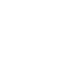 Familiar with policies of various countries and master process nodes