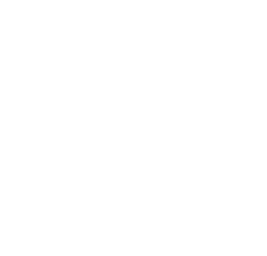 Customs clearance