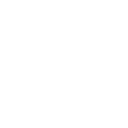 Self developed system for protecting trade secrets