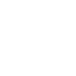 Trade/Customs Affairs