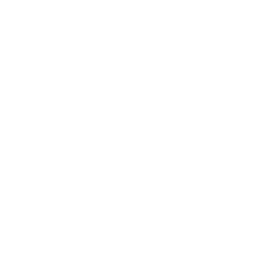 Server Manufacturer